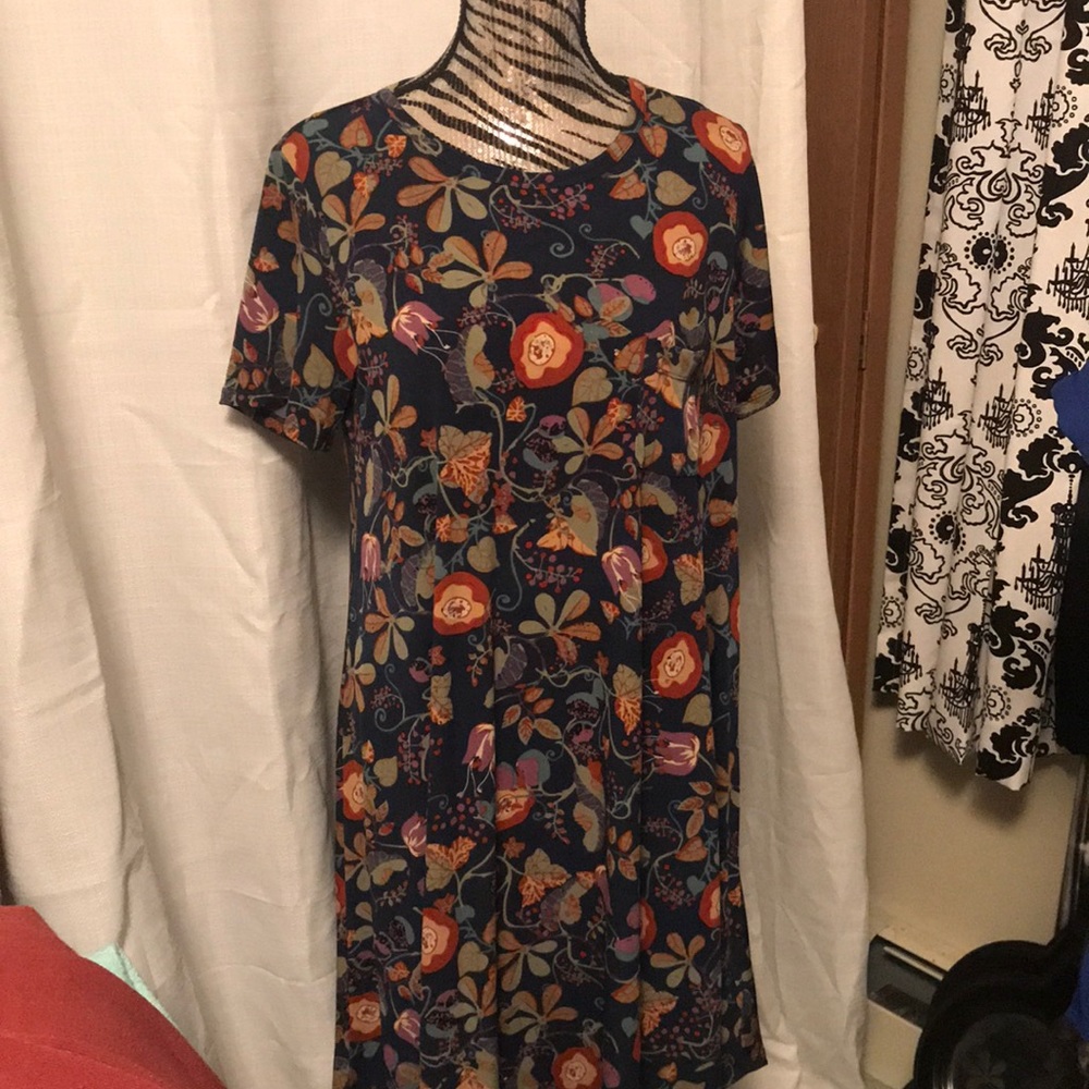 LuLaRoe Carly AND matching Joy! Gorgeous!!
